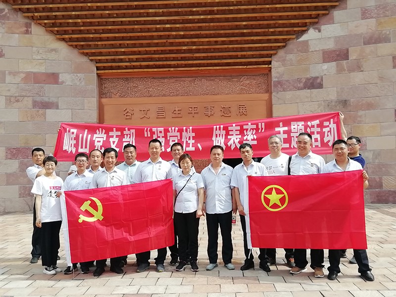 岷山黨支部“強黨性、做表率”主題活動(dòng)