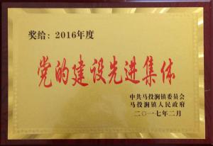 2016年度鎮黨建設先進(jìn)單位
